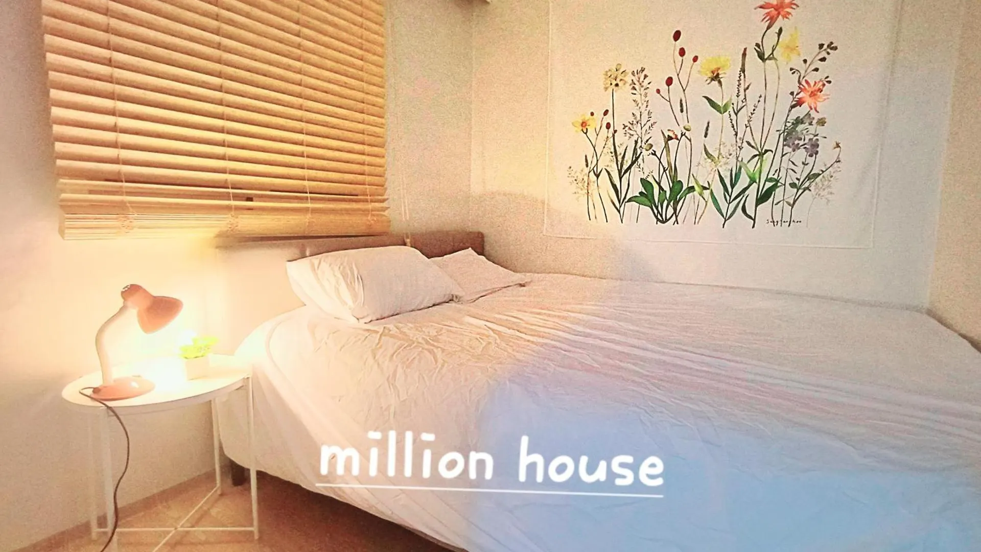 Million House Apartment Seoul